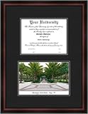 University of South Florida Diplomate Diploma Frame & Lithograph