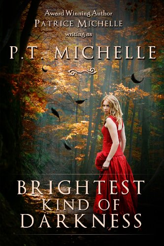 Brightest Kind of Darkness: Book 1