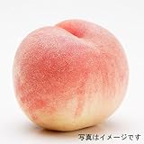 モモ(桃）：YD（ワイダイ）大玉白鳳[はくほう]4.5号ポット[矮性台木][晩生種]