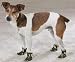 Kitchen & Housewares : LARGE - GREEN - Camo Dog Boots