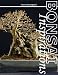 Harry Harrington’S Bonsai Inspirations