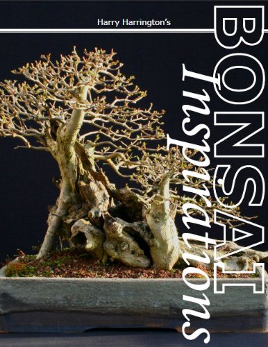 Harry Harrington’s Bonsai Inspirations
