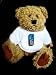 Bild: Teddy Bear mit T-Shirt mit der Grafik: Garmin GPS