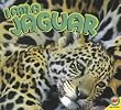 I Am a Jaguar