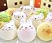 ������륬���ȥ���NEW��ưʪ�錄����(10������/����5����)