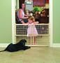 GMI 24-Inch GuardMaster II Wire Mesh Security Pet Gate, Standard