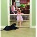 GMI 24-Inch GuardMaster II Wire Mesh Security Pet Gate, Standard
