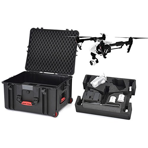 DJI Inspire Professional Bundle: DJI Inspire, Dual Remote Controls, 3x-batteries, 3x-64gb Microsd, 2x-apple Ipad Air 2 (16gb) and Professional Lanyard By Camrise for the Second Remote