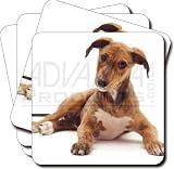 \"LURCHER