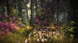 The Witcher 2: Assassins Of Kings Enhanced Edition