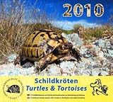 Schildkröten 2011