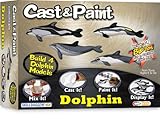 Cast and Paint Dolphin with BloPens