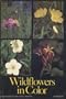 Wildflowers in Color (Harper Colophon Books)