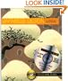Japanese Design (Dover Pictura)