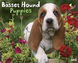 Basset Hound Puppies 2013 Wall Calendar