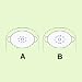 Search : Nu-Hope Urinary Oval Mid-Size Trim-To-Fit Pouch