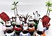 PENGUINS OF MADAGASCAR 12 Piece Birthday CUPCAKE Topper Set, Featuring 6 Random Penguin Figures and Decorative Themed Accessories - Figures Average 2