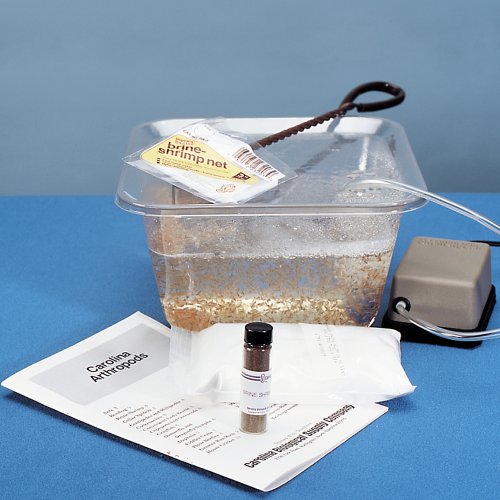 Top 5 Best brine shrimp hatchery kit for sale 2016 BOOMSbeat