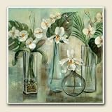 Silver Orchids, Set of 4 Absorbent Ceramic Coasters