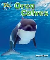 Orca Calves (Water Babies)