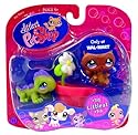 Littlest Pet Shop Littlest Iguana and Raccoon w/ Flower Pot # 712 #713