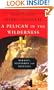 A Pelican in the Wilderness: Hermits, Solitaries, and Recluses