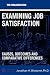 Examining Job Satisfaction: Causes, Outcomes, and Comparative Differences