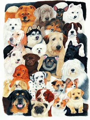 Dog Collage 300pc Jigsaw Puzzle by Avril Haynes