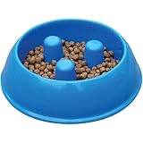 Brake-Fast Dog Food Bowls - Medium Blue