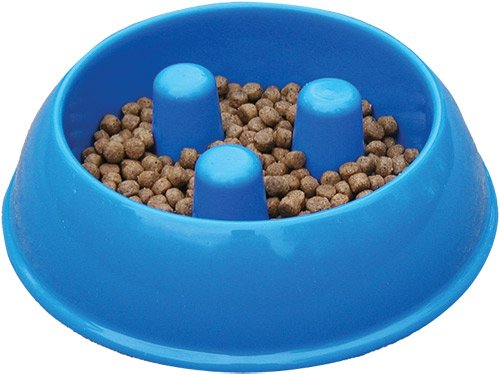 Brake-Fast Dog Food Bowls - Medium Blue