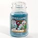 Garden Cucumber - 22oz Yankee Candle Jar