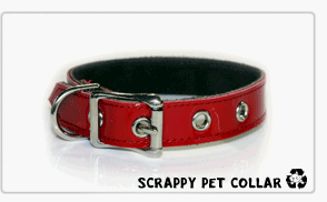 Childrens Toyshop  Sporting Goods : Scrappy Pets Leather Dog Collar (Eco-Friendly)
