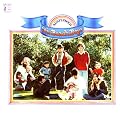 Sunflower (Vinyl) [Vinyl LP]