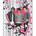 Jonas Brothers Micro Raschel Throw - 50x60"