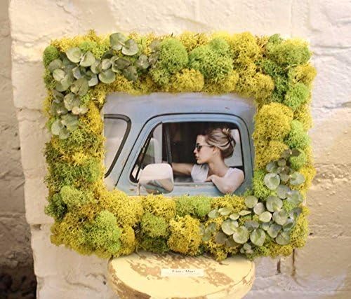 Moss Picture Frame 11" x 9", Real Preserved Moss, Modern Living Art, Vertical Terrarium.