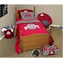 Ohio State Buckeyes Bed-in-a-Bag  (Twin Twin/X-Long)