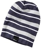 Westbeach Standard Stripe Mens Beanie