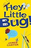 Hey, little bug! : poems for little creatures