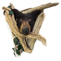 Black Bear Head Mount