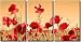 Framed Huge 3 Panel Floral Art Flower Field Red Poppy Giclee Canvas Print