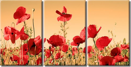 Framed Huge 3 Panel Floral Art Flower Field Red Poppy Giclee Canvas Print