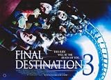 Final Destination 3 - Movie Poster / Print -- Custom Framing Available