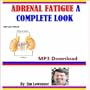 Adrenal Fatigue a Complete Look