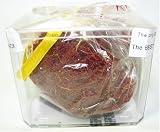 Golden Gate Brand Novin Saffron Threads Top Grade 1oz.