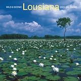 Louisiana, Wild & Scenic 2009 Square Wall Calendar
