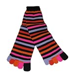 Kendall Drive Knit 