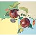 Apples Cutting Board