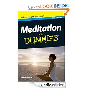 Meditation For Dummies®, Mini Edition