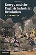 Energy and the English Industrial Revolution