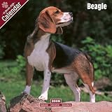 Eigenschaften Avonside Publishing Ltd.  / Kalender 2009 Beagle